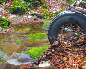 Trash in the forest. old tire