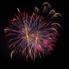 Fireworks isolated on black background © 2nix