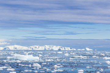 Fototapeta na wymiar Nierva Cove Ice