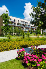 House in the colorful public park with loads of flowers