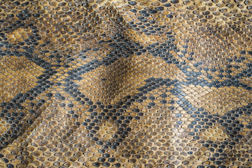 Snake skin texture and background