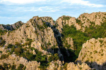 Sierra in the morning.