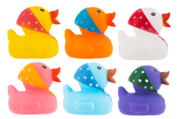 Many ducks toy of different colors over white
