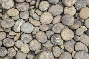 Marble stone on floor use for background.