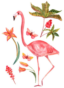 Set of vintage style watercolor drawings: flamingo, butterflies and plants