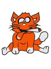 pothead weed joint smoking smoken hemp cannabis crazy fun party drug funny cat