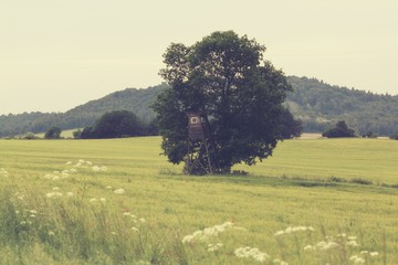 vintage rural landscape