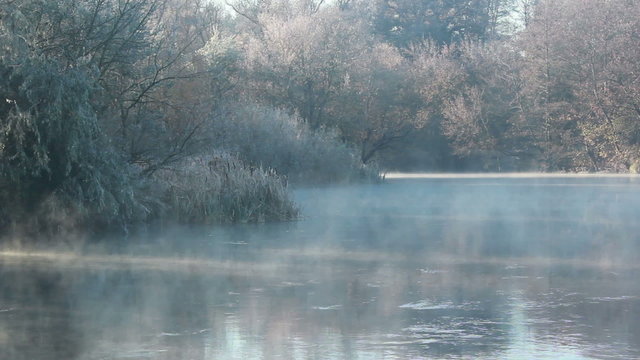Cold morning at the river