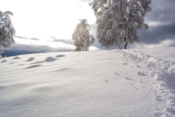 Trekking nella neve fresca