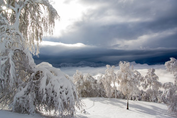 Panorama dopo la nevicata