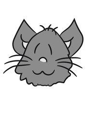 face head sweet cute kitten fluffy fur