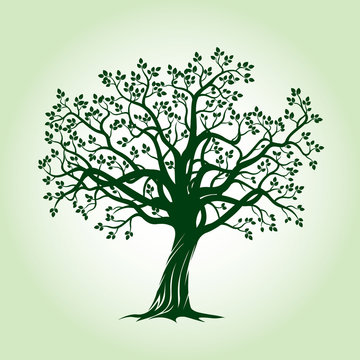 Green Apple Tree. Vector Illustration.
