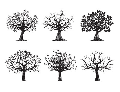 Collection of Black Trees. Vector Illustration.