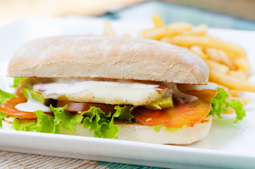 Vegetarian Ciabatta with tomatoes, grilled cheese haloumi, avocado and lettuce with french fries on white plate Summer background