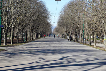 Prater Hauptallee, Wien, aufgenommen 2016