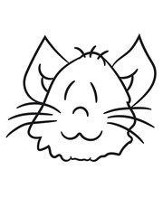 face head sweet cute kitten fluffy fur