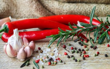 Condiments and spices - salt, rosemary, garlic, pink and black pepper, chilli