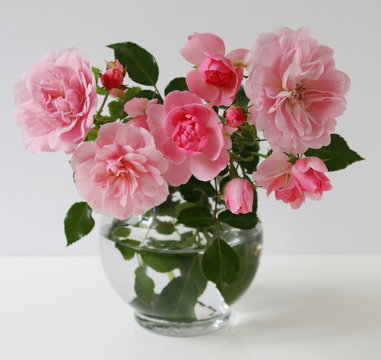 Bouquet of pink garden roses in a vase on a white background.