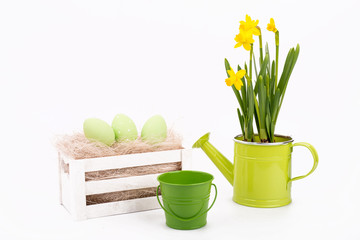 easter eggs over white background