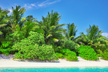 Shoreline of a tropical island in the Maldives and view of the I