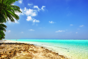 Fototapeta na wymiar Shoreline of a tropical island in the Maldives and view of the I