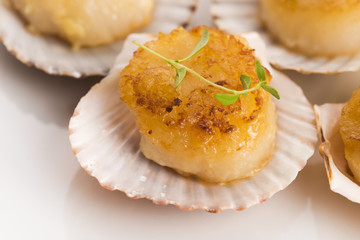 scallops