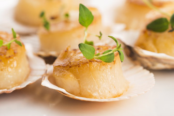 scallops