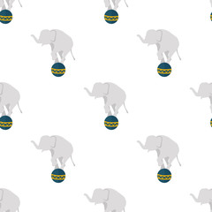 Elephant balance on the ball icon