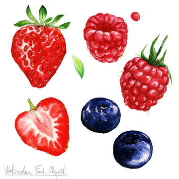 Watercolor Food Clipart - Berries