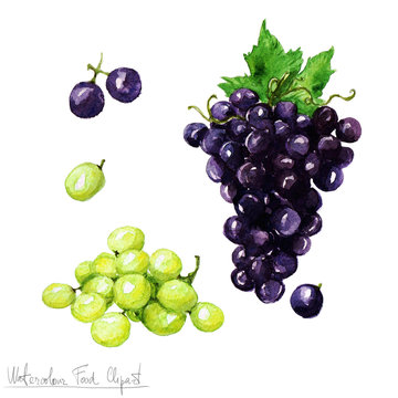 Watercolor Food Clipart - Grapes