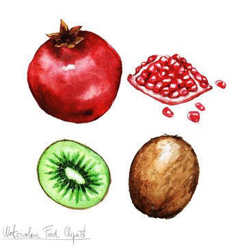 Watercolor Food Clipart - Pomegranate and Kiwi