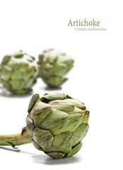 Obraz premium fresh artichokes isolated on a white background, sample text, ve