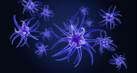 under the microscope, neurons