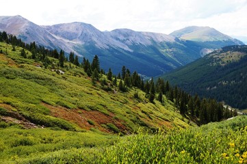Fototapeta premium View from Independence Pass on the Continental Divide in Colorado, USA