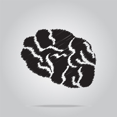 Brain icon