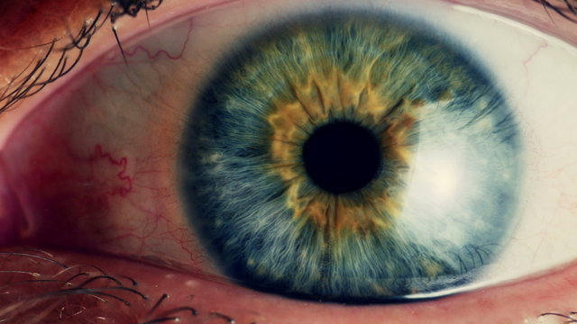 Human eye iris contracting. Extreme close up. 
