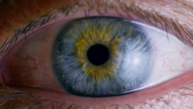 Human eye iris contracting. Extreme close up. 
