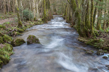 Obraz premium Ruisseau de montagne