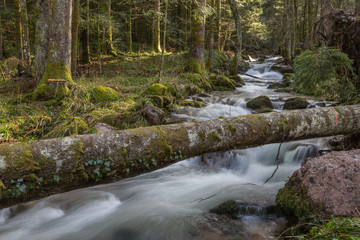Ruisseau de montagne