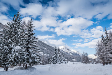 Obraz premium winter snowy landscape in italian alps