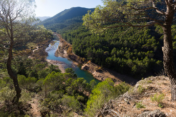 Fototapeta na wymiar Mountains river with forest riverside