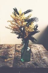 Bunch of mimosa in green bottle on rustic wooden table - 102074268