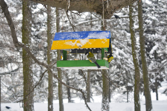синица в зимнем парке