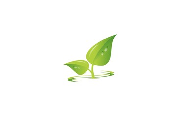 leaf eco green logo