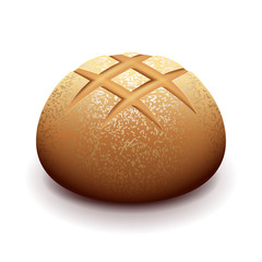 Round bread isolated on white vector