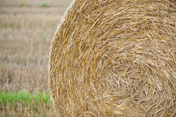 Staw bales on fields at harvesting time