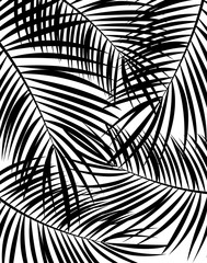 Palm Leaf Vector Background Illustration