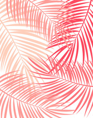 Palm Leaf Vector Background Illustration