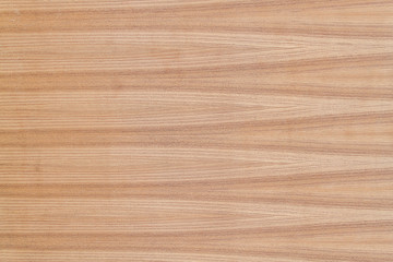 Fototapeta premium wood texture Teak