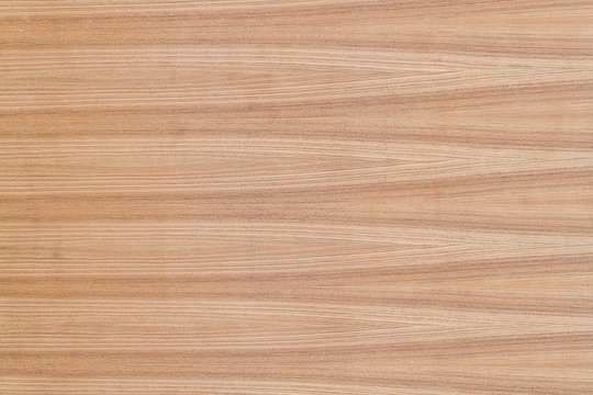 wood texture Teak